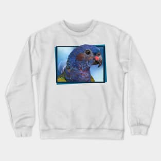 blue-headed parrot Crewneck Sweatshirt